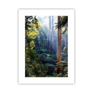 Affiche - Poster - Fable de la forêt - 30x40 cm