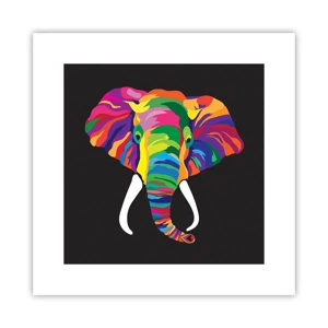 Affiche - Poster - L'éléphant qui aimait se baigner dans un arc-en-ciel - 30x30 cm