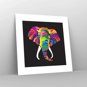 Affiche - Poster - L'éléphant qui aimait se baigner dans un arc-en-ciel - 30x30 cm