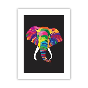 Affiche - Poster - L'éléphant qui aimait se baigner dans un arc-en-ciel - 30x40 cm