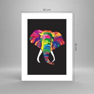 Affiche - Poster - L'éléphant qui aimait se baigner dans un arc-en-ciel - 30x40 cm