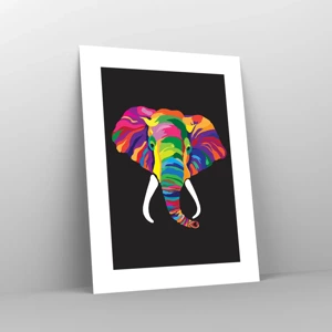 Affiche - Poster - L'éléphant qui aimait se baigner dans un arc-en-ciel - 30x40 cm