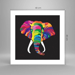 Affiche - Poster - L'éléphant qui aimait se baigner dans un arc-en-ciel - 40x40 cm