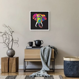 Affiche - Poster - L'éléphant qui aimait se baigner dans un arc-en-ciel - 40x40 cm