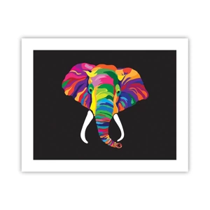 Affiche - Poster - L'éléphant qui aimait se baigner dans un arc-en-ciel - 50x40 cm