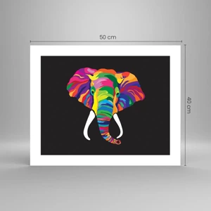 Affiche - Poster - L'éléphant qui aimait se baigner dans un arc-en-ciel - 50x40 cm