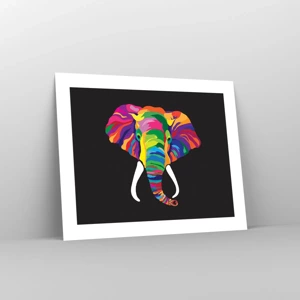 Affiche - Poster - L'éléphant qui aimait se baigner dans un arc-en-ciel - 50x40 cm