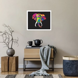 Affiche - Poster - L'éléphant qui aimait se baigner dans un arc-en-ciel - 50x40 cm