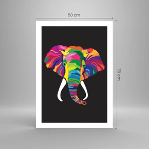 Affiche - Poster - L'éléphant qui aimait se baigner dans un arc-en-ciel - 50x70 cm