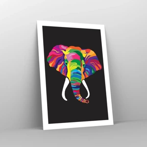 Affiche - Poster - L'éléphant qui aimait se baigner dans un arc-en-ciel - 50x70 cm