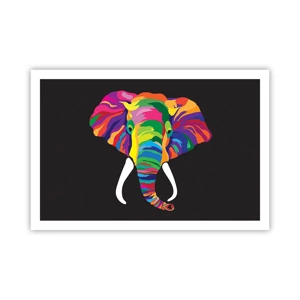 Affiche - Poster - L'éléphant qui aimait se baigner dans un arc-en-ciel - 91x61 cm