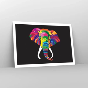 Affiche - Poster - L'éléphant qui aimait se baigner dans un arc-en-ciel - 91x61 cm