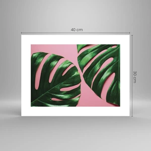 Affiche - Poster - Rendez-vous vert - 40x30 cm