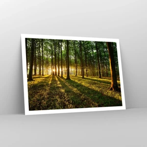 Affiche - Poster - Toutes les photographies de printemps - 100x70 cm