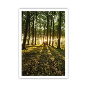 Affiche - Poster - Toutes les photographies de printemps - 70x100 cm