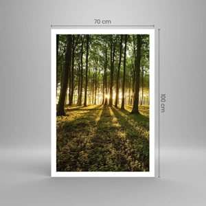 Affiche - Poster - Toutes les photographies de printemps - 70x100 cm