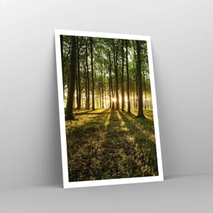 Affiche - Poster - Toutes les photographies de printemps - 70x100 cm