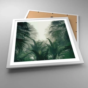 Affiche dans un cadre blanc - Poster - Secret tropical - 50x50 cm