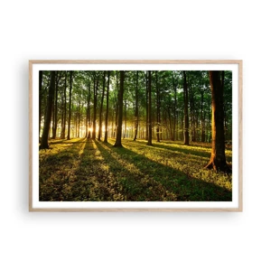 Affiche dans un chêne clair - Poster - Toutes les photographies de printemps - 100x70 cm