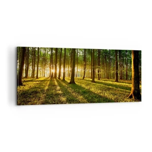 Impression sur toile - Image sur toile - Toutes les photographies de printemps - 100x40 cm