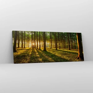 Impression sur toile - Image sur toile - Toutes les photographies de printemps - 100x40 cm