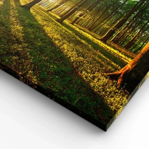 Impression sur toile - Image sur toile - Toutes les photographies de printemps - 100x40 cm