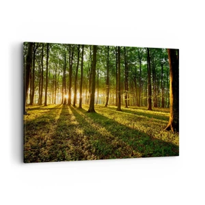 Impression sur toile - Image sur toile - Toutes les photographies de printemps - 100x70 cm