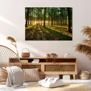 Impression sur toile - Image sur toile - Toutes les photographies de printemps - 100x70 cm