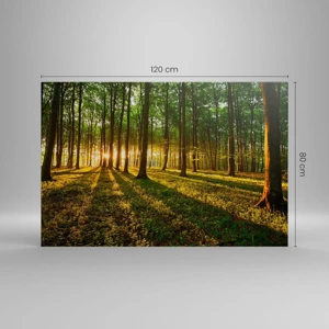 Impression sur toile - Image sur toile - Toutes les photographies de printemps - 120x80 cm