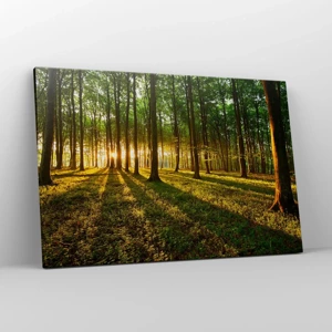 Impression sur toile - Image sur toile - Toutes les photographies de printemps - 120x80 cm