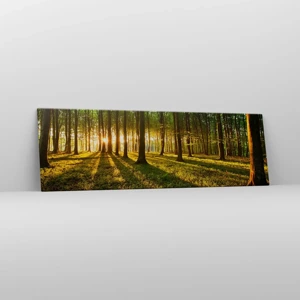 Impression sur toile - Image sur toile - Toutes les photographies de printemps - 160x50 cm