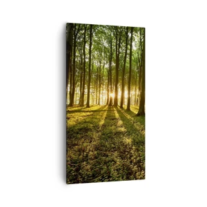 Impression sur toile - Image sur toile - Toutes les photographies de printemps - 55x100 cm