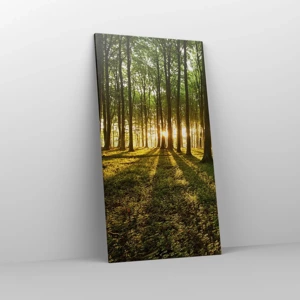 Impression sur toile - Image sur toile - Toutes les photographies de printemps - 65x120 cm