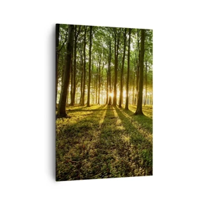 Impression sur toile - Image sur toile - Toutes les photographies de printemps - 70x100 cm