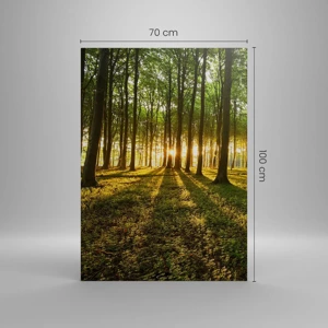 Impression sur toile - Image sur toile - Toutes les photographies de printemps - 70x100 cm