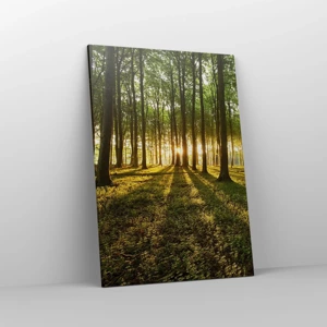 Impression sur toile - Image sur toile - Toutes les photographies de printemps - 70x100 cm