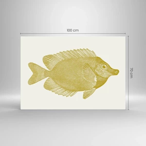 Impression sur verre - Image sur verre - Du poisson et c'est tout - 100x70 cm