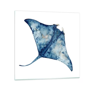 Impression sur verre - Image sur verre - La vie en bleu - 50x50 cm