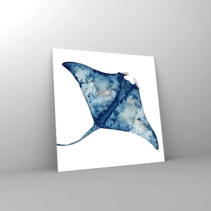 Impression sur verre - Image sur verre - La vie en bleu - 50x50 cm