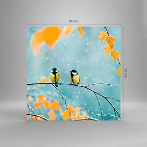 Impression sur verre - Image sur verre - Potins d'oiseaux - 30x30 cm