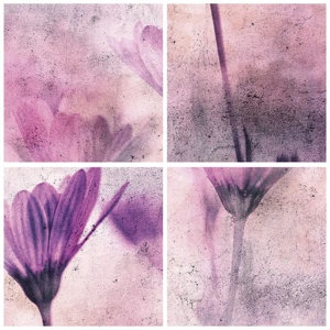 Impression sur verre - Image sur verre - Rêve de fleurs - 60x60 cm