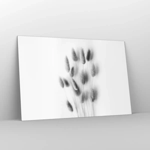 Impression sur verre - Image sur verre - Son herbe duveteuse - 120x80 cm