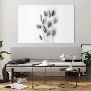 Impression sur verre - Image sur verre - Son herbe duveteuse - 120x80 cm