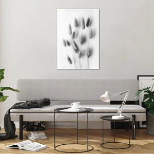 Impression sur verre - Image sur verre - Son herbe duveteuse - 70x100 cm