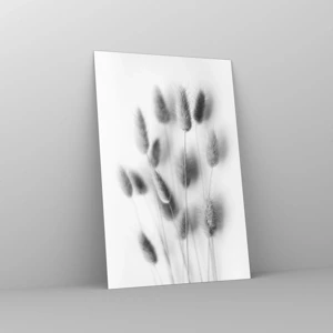 Impression sur verre - Image sur verre - Son herbe duveteuse - 80x120 cm