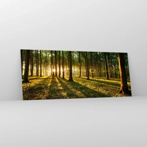 Impression sur verre - Image sur verre - Toutes les photographies de printemps - 100x40 cm