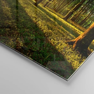 Impression sur verre - Image sur verre - Toutes les photographies de printemps - 100x40 cm