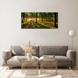 Impression sur verre - Image sur verre - Toutes les photographies de printemps - 100x40 cm