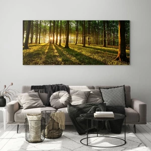 Impression sur verre - Image sur verre - Toutes les photographies de printemps - 100x40 cm