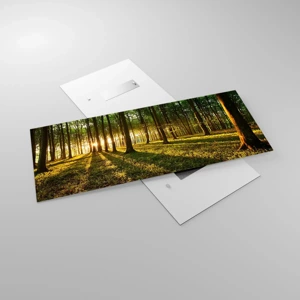 Impression sur verre - Image sur verre - Toutes les photographies de printemps - 120x50 cm